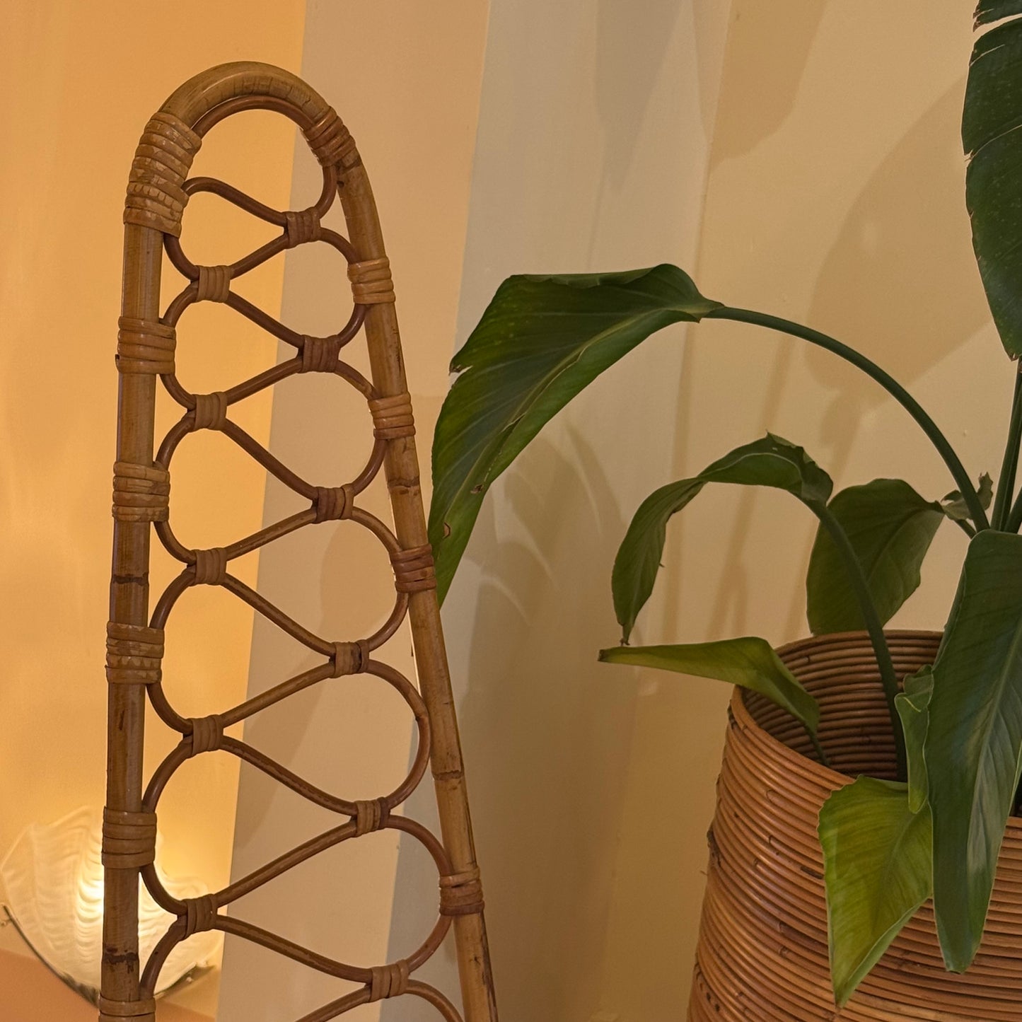 Rohe Noordwolde rattan peacock chair