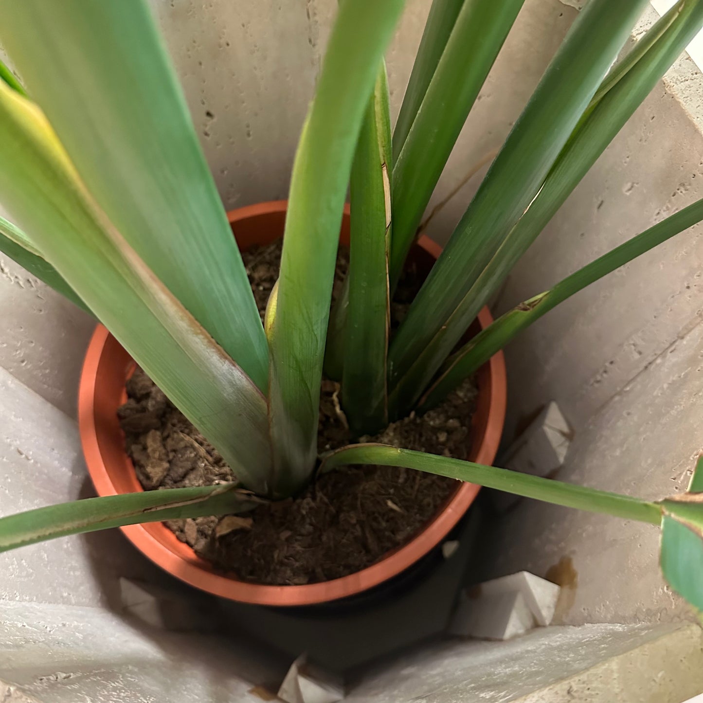 Octagonal travertine plant pot / pedestal