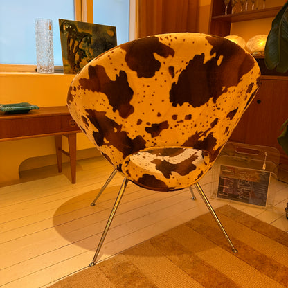 Koeienhuid fauteuil met chrome pootjes