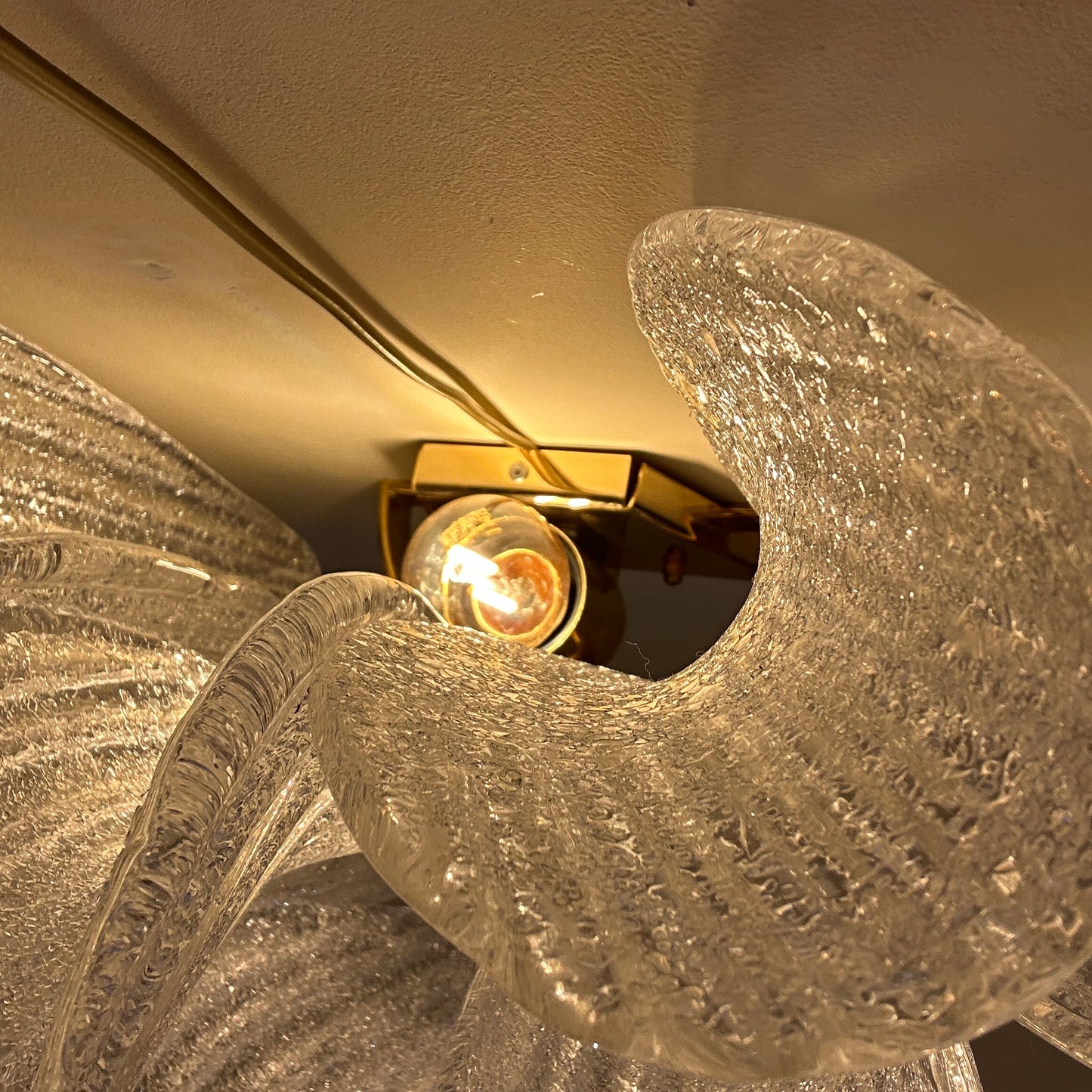 Glass wall light with Murano glass petals